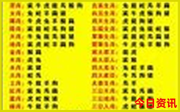 澳门开特马+开奖结果走势